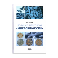 Большой практикум "Микробиология": учебное пособие (Ившина И.Б.)