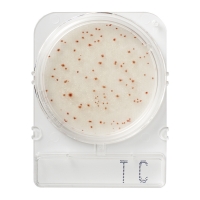 Общая бактериальная обсемененность, подложки Compact Dry TC (Total counts), 100 шт.