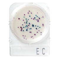 Подложки Compact Dry EC (E.coli и колиформные бактерии), 100 шт.
