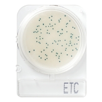 Энтерококки, подложки Compact Dry ETC (Enterococcus), 100 шт.
