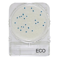 Подложки Compact Dry ECO (E.coli), 40 шт.