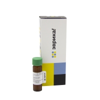 Путресцин, стандарт аналитический Эврика B0103MH по ГОСТ 31789-2012, 1 мг/мл в 0,2М соляной кислоте, 20 мл