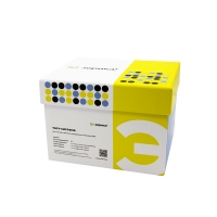 Сульфахиноксалин, тест-система Эврика A0803-48 для количественного определения методом ИФА, 48 определений